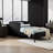 Alviera Upholstered Sofa Bed with 2 Storage Drawers | Adjustable Velvet Platform Bed Frame | Convertible Daybed for Living Room, Guest Room, or Home Office-1678464876