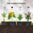 Aaleayah Screwless Wooden Hexagon Ground Planters for Outdoor Plants-1245551962