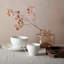 China by Denby 4 Pc Dinnerware Set