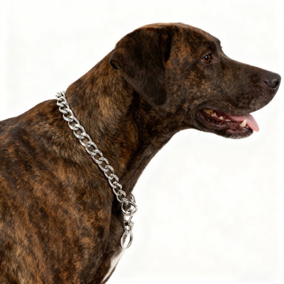 2PCS Metal Dog Slip P Chain Collar, 304 Stainless Steel Anti-Pull Training Collar for Medium Large Dogs, 3.0mm 50cm Silver Pet Neck Collar