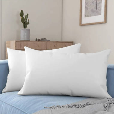 Alwyn Home Daria Soft Hypoallergenic Throw Pillow, White