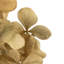 Vickerman Hydrangea Centerpiece-971343926