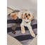 Kaya Dog Blanket - Medium-1237279658-1237279654