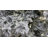 Pfeiffer 6.5' White Artificial Christmas Tree with LED White Lights with Stand