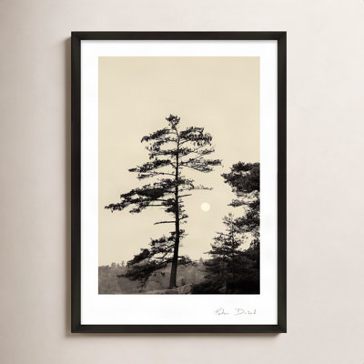 Garden Sign "Serenity" Print by Peter Dušek