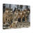 " Wolf "-1070266613