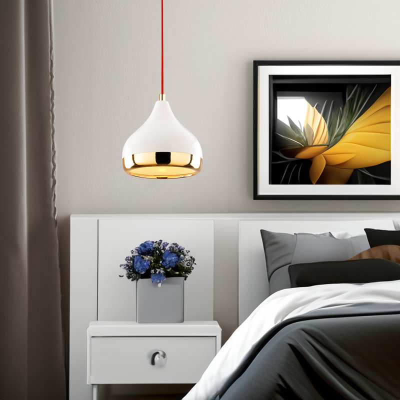 Luminaire suspendu simple 1 lumière