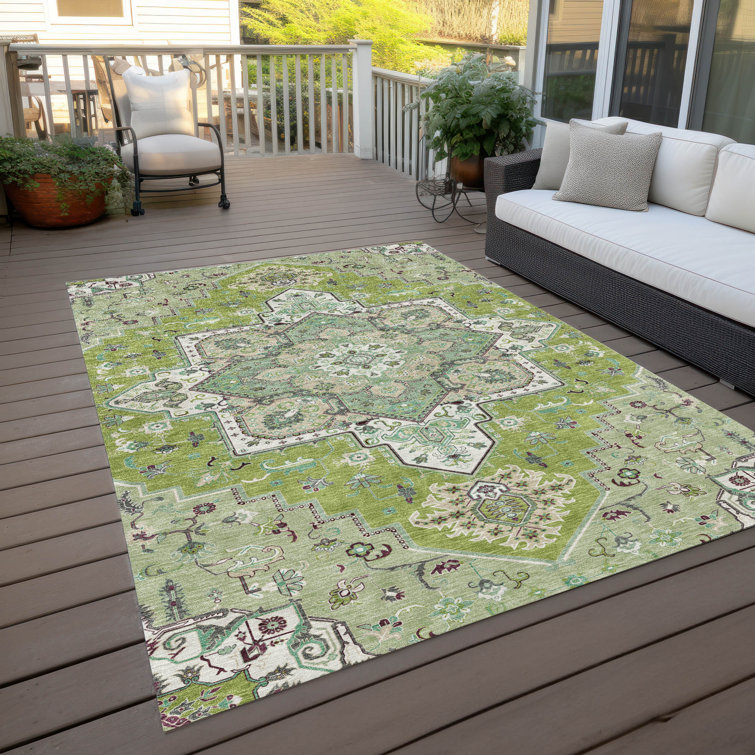 Machine Washable Indoor/Outdoor Chayden ACN1036 Rug