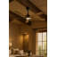 Hinkley Layton Ceiling Fan-1993862348-1993862346