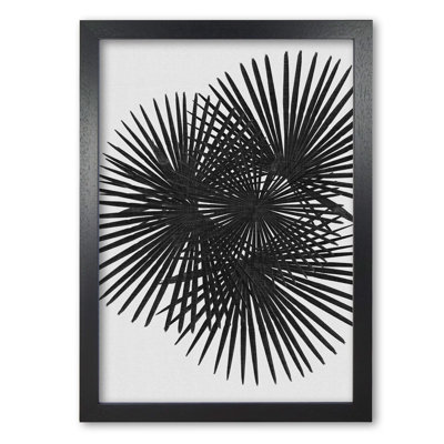 Fan Palm - Print on Canvas