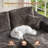 Boneless 106.3" Boneless Floor L-Shaped Sectional Sofa With Ottoman, No-Assembly Cloud Couch For Modern Living Spaces-1124451612-1124451603