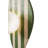 Elegant Wall Lamp with Travertine Body & Glass Cap, Beige/Green Finish, 16.5 x 3.9 inches | Max 10W G9 Socket, IP20 Rated | Perfect for Living Room, Bedroom, or Office Decor, Chic & Modern Design-535062498
