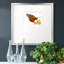 Medway Wings I, reproduction d'art encadrée-57397751