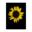 Dosta «Sunflower 1», impression sur toile tendue-29226274