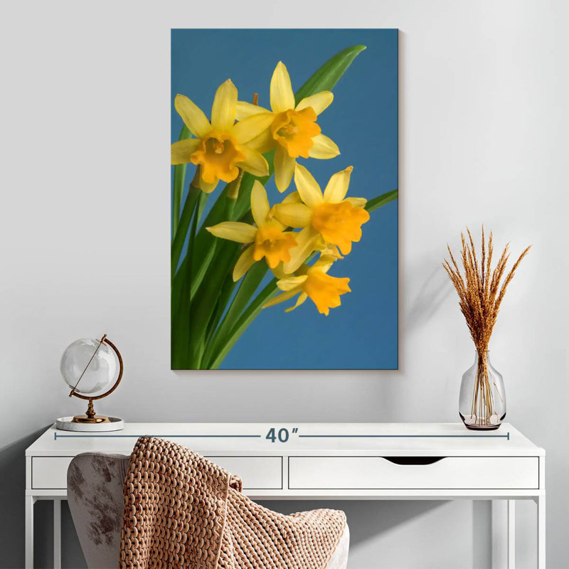 Jonquilles jaunes sur fond bleu Harnek, H 30 po x l 20 po