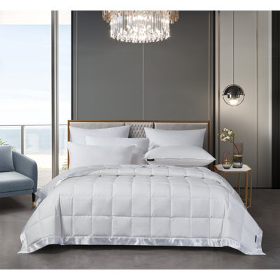 Beautyrest Light Weight White Down Blanket