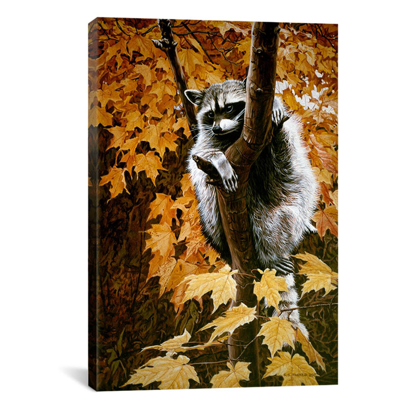 « up a tree » par reproduction de photo sur toile tendue Ron Parker, H 18 po x l 12 po x P 0,75 po