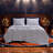 Champion Printed Microfiber Sheet Set-128580183-128580186