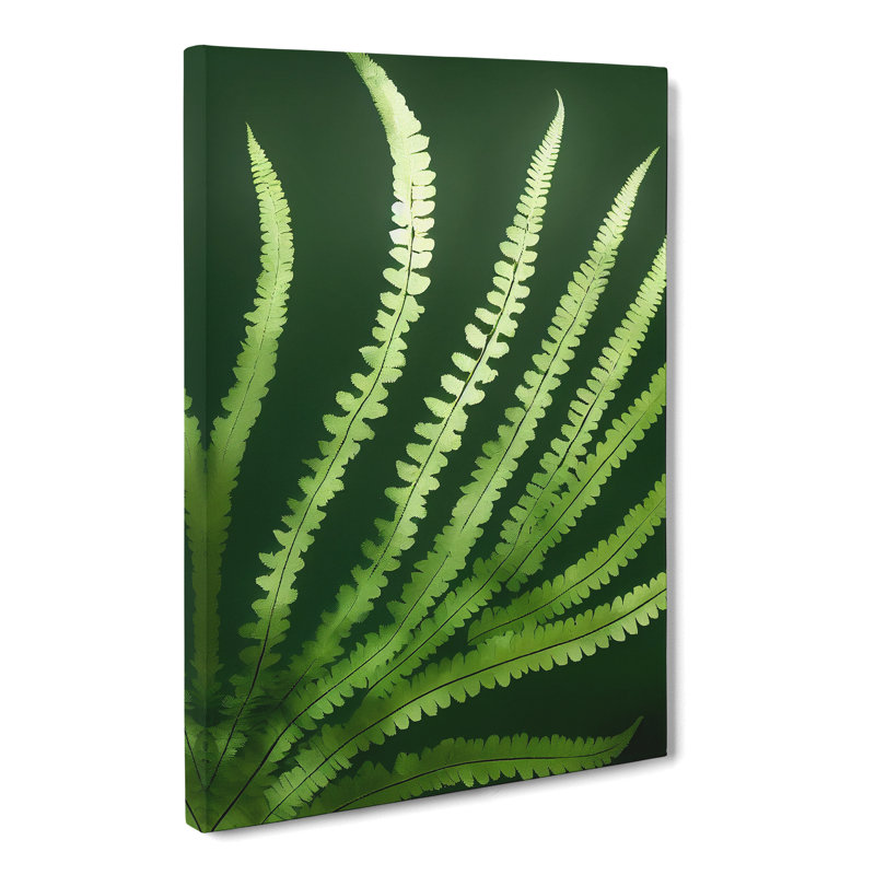 Talleyran Fern Leaf Beauty - Wrapped Canvas, 50cm H x 35cm W x 3cm D
