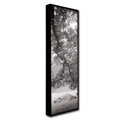 Alan Blaustein «Hampton Field Tree I», reproduction de photo sur toile tendue