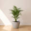 Pot à fleurs rond Vinisha ECOBO EcoFriendly-928914534-929206497