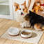 Anti-Skid Pet Bowl-114642039