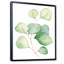 Délicates feuilles d'eucalyptus - Peinture sur toile-67228532-67228537