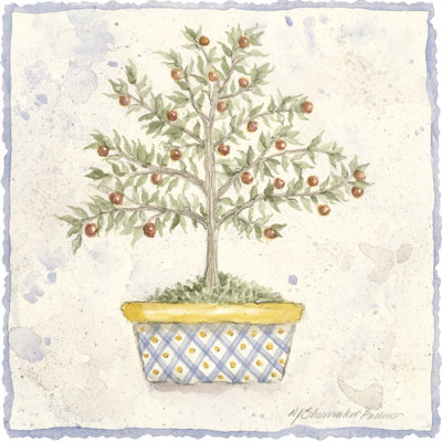 French Topiary II by Nancy Shumaker Pallan - Wrapped Canvas Painting