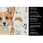 Torchon Corgi-1234933829