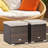 Brynjar Outdoor Ottoman with Cushion-104455567