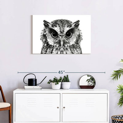 Bewitching Owl