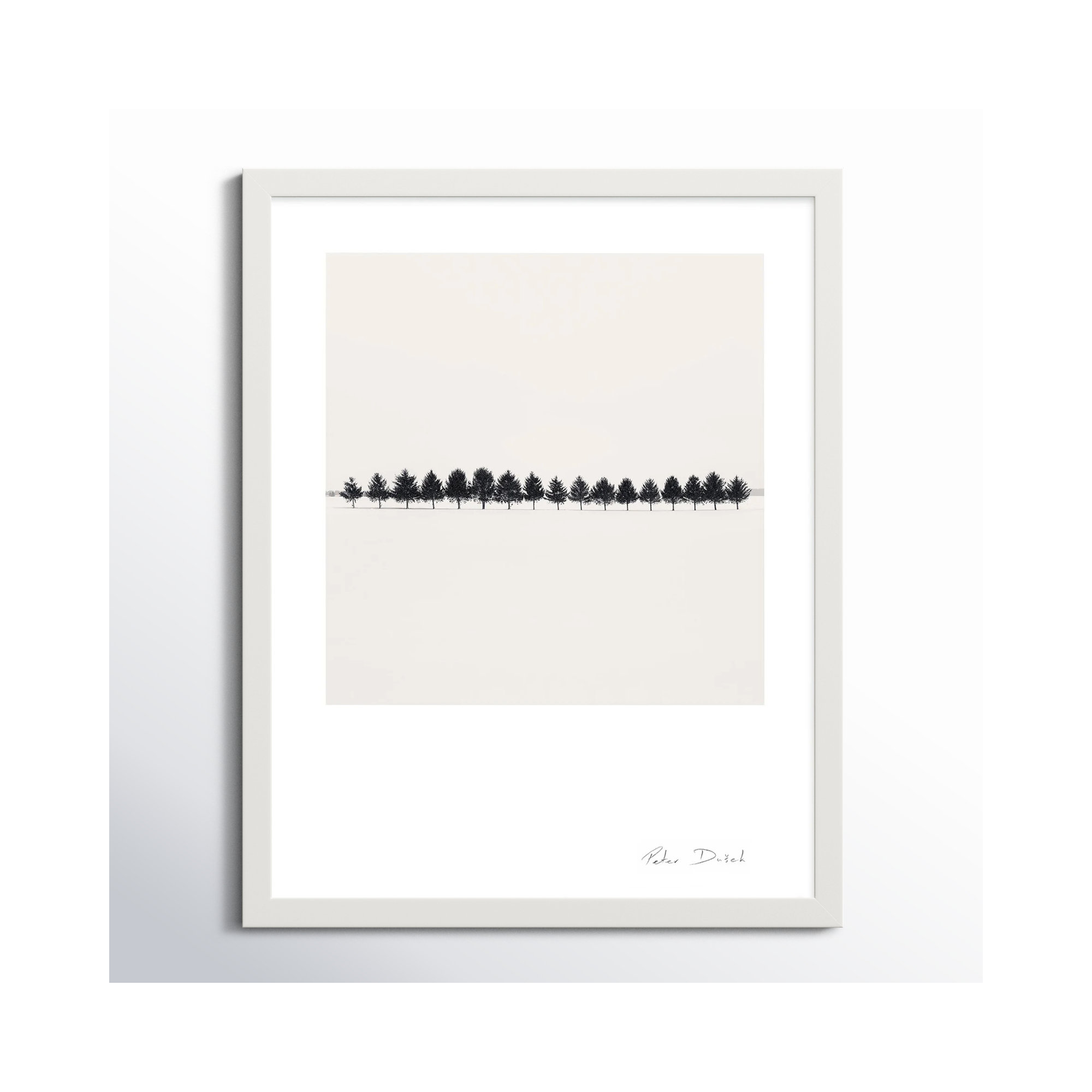Seventeen Trees by Peter Dušek, White, 38" H x 30" W x 1.25" D