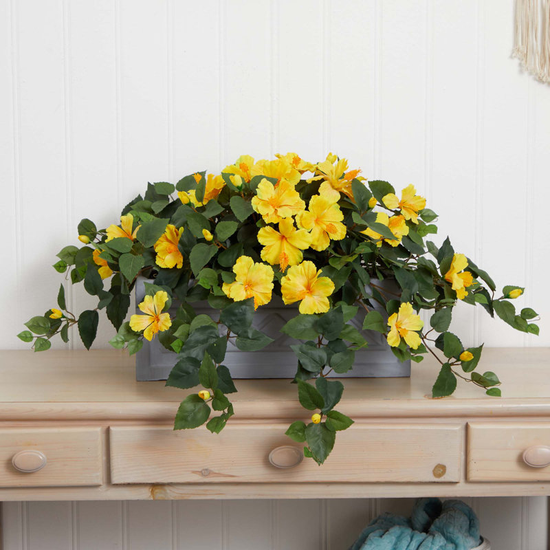 Hibiscus Arrangement in Planter