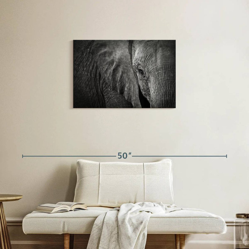 Brampt Elephant Eye, 20" H x 30" W