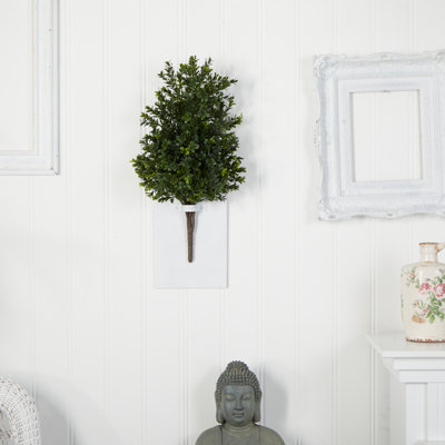 23'' Foliage Plant