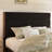 Upholstered Platform Bed with Modern Design Headboard, No Box Spring Needed-644360015-550745397