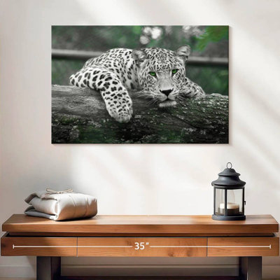 Jaguar aux yeux verts