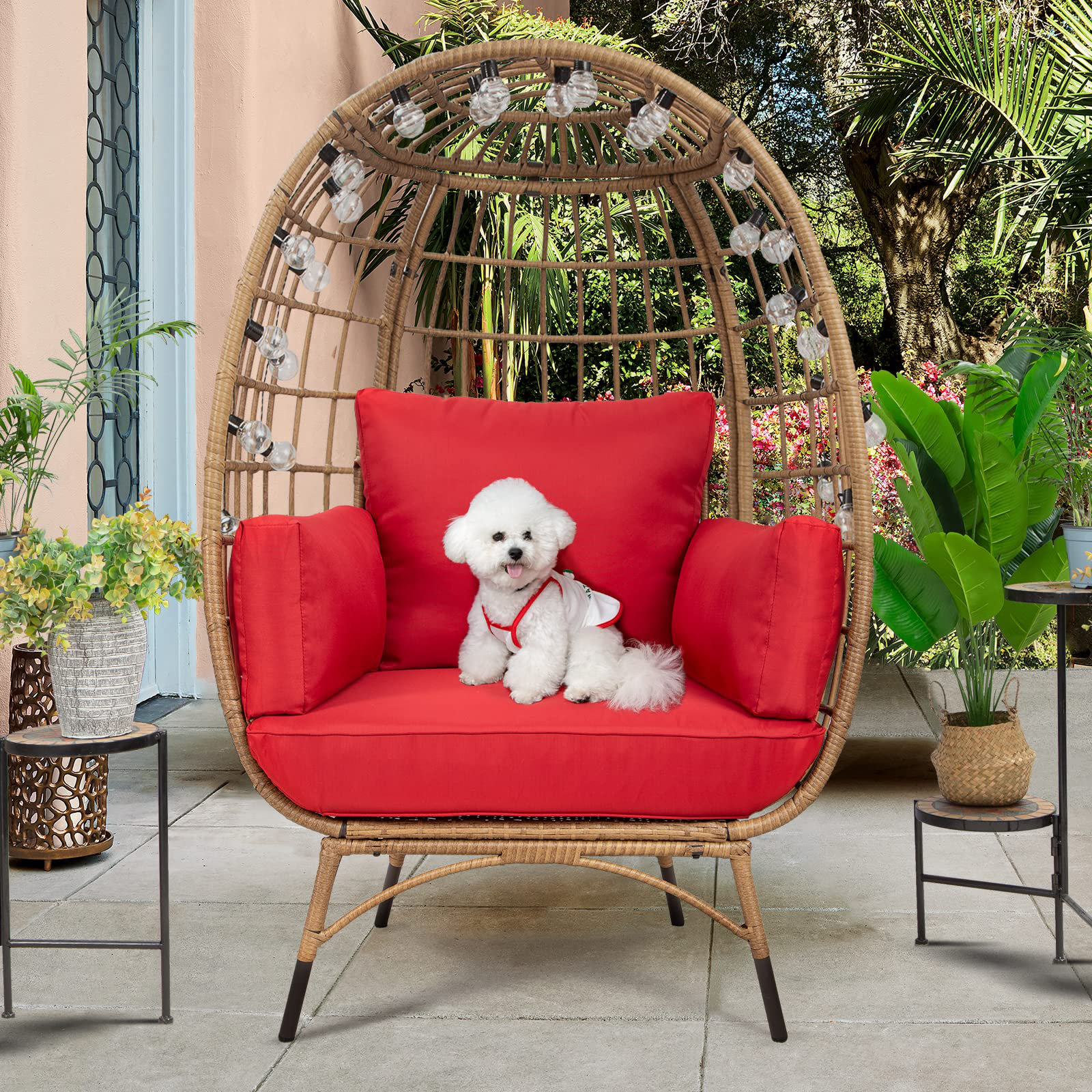 Dog lounge chair clearance outdoor