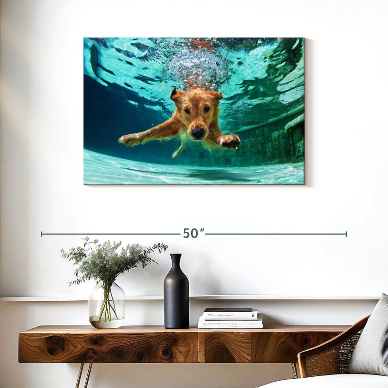 Golden Retriever Diving, 24" H x 36" W