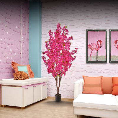 6' Bougainvillea Tree