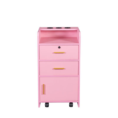Beauty Salon Storage Station Cabinet Stylist Equipment Drawer Hair Dryer Holder