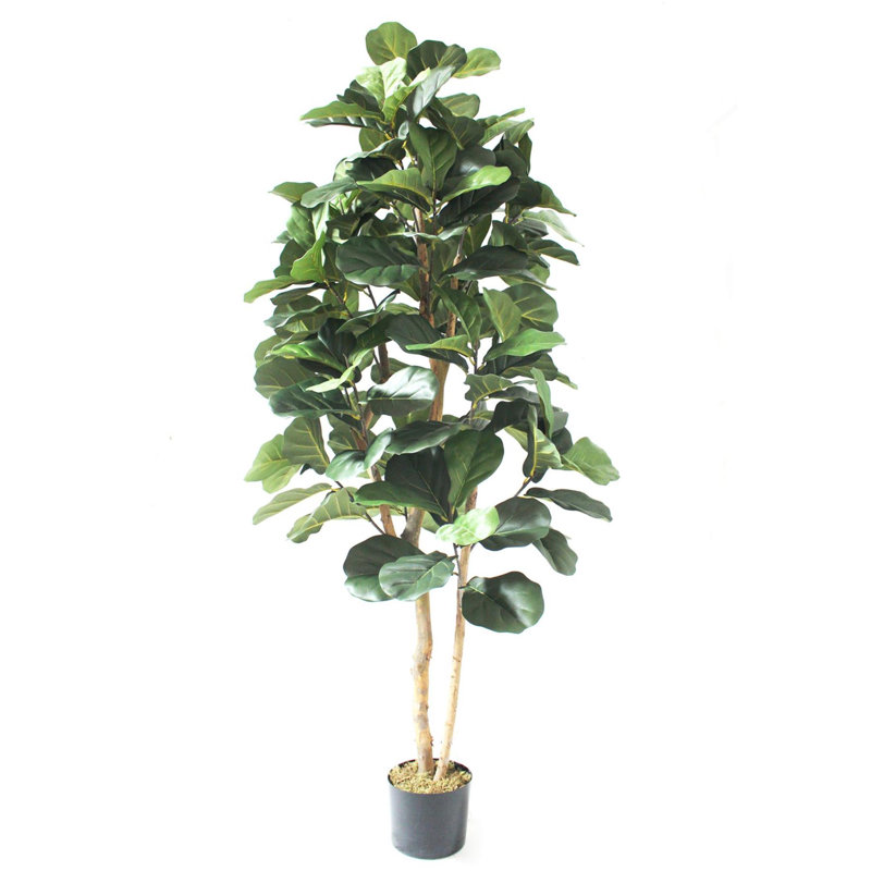 Annistyn 180cm Faux Fig Tree in Pot