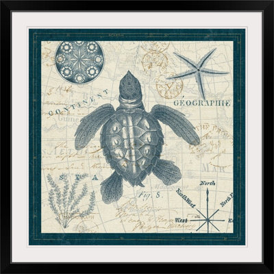 «ocean life vi, impression