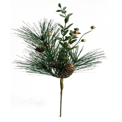 Antioca Arrangement