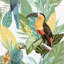 Papier peint ajouré Toucan