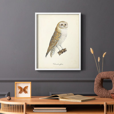 «French Owls VI», reproduction encadrée - bois massif