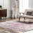 Modern Abstract Performance Pink Rug-780774238