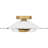 Indigo 2-Light Light Gold Flush Mount