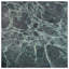 Verde Alpi 24X24 Honed Marble Floor & Wall Tile