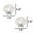 Seashell small knobs (set of 2)-39948804-104673477-126755987